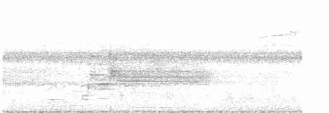 vlhovec červenokřídlý [skupina phoeniceus] - ML610238668