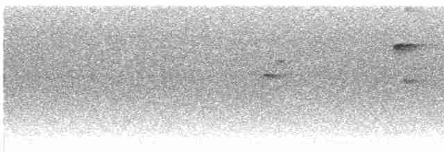 Пестрогрудый тираннчик - ML610239041