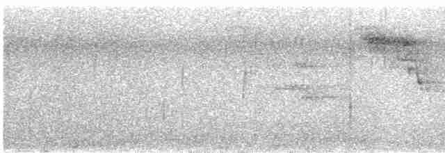 Mirlo Acuático Europeo - ML610242051