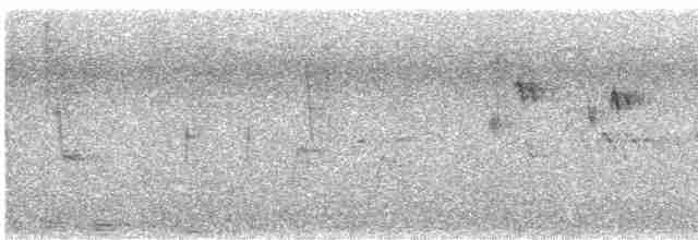 Mirlo Acuático Europeo - ML610242053