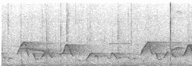 Plain-tailed Wren - ML610243532