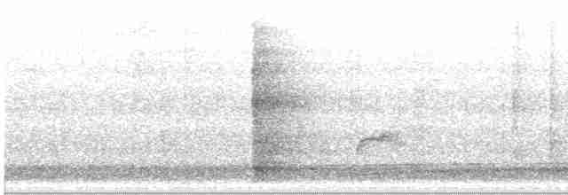 Дрізд-короткодзьоб Cвенсона - ML610249804