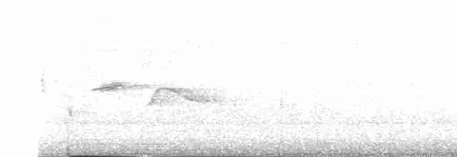 Epaulet Oriole - ML610260888