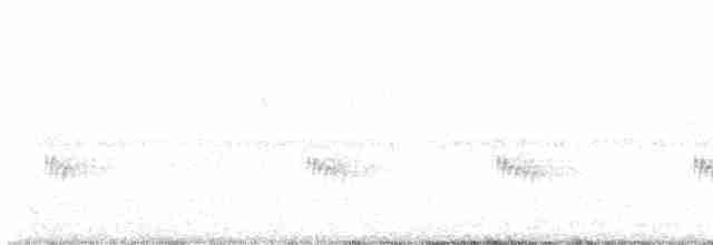 Каролинский крапивник - ML610270107