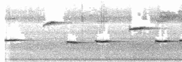 Bülbül Sesli Çıtkuşu - ML610270169