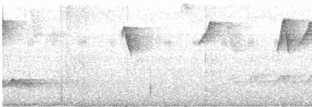Чешуегорлый колибри-отшельник - ML610270854