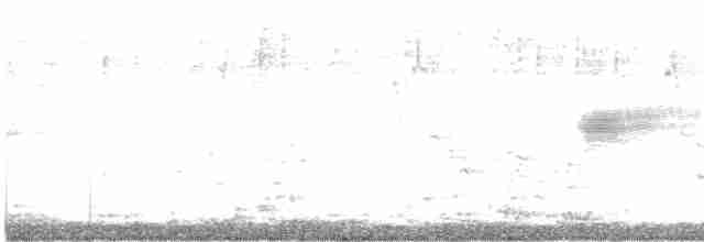 Желтобровая овсянка-барсучок - ML610270936