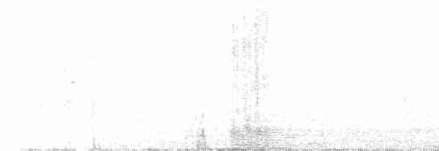 Stieglitz - ML610280616