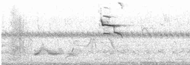Кратеропа брунатна - ML610283220