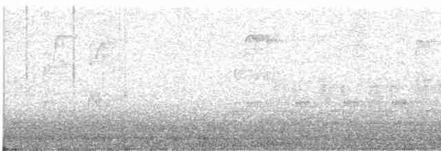 Каролинский крапивник - ML610284366