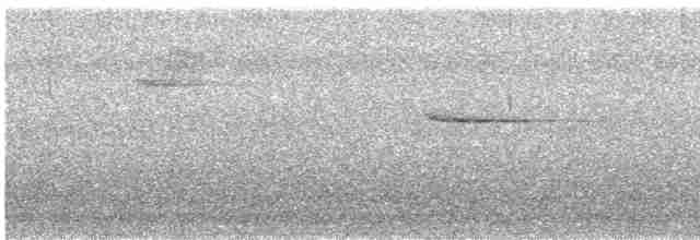 Arrenga siffleur (caeruleus) - ML610289873