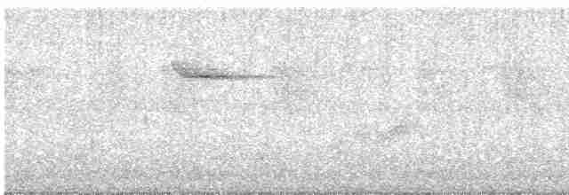 blåplystretrost (caeruleus) - ML610289874