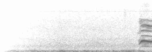 Сероголовая чайка - ML610290056