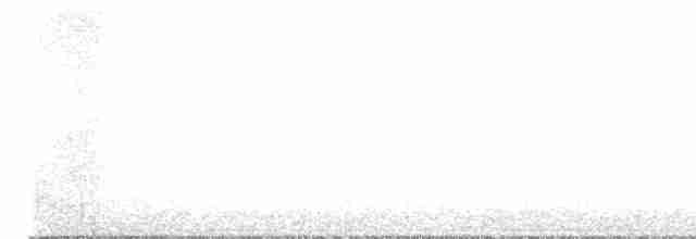 White Wagtail (British) - ML610292273