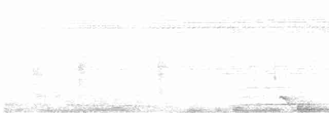 Белобровый крапивник - ML610296365