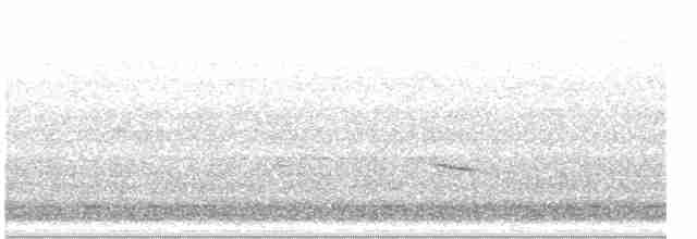 Дрізд-короткодзьоб плямистоволий - ML610298509