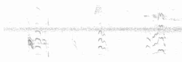 rorýs bělokrký - ML610307545