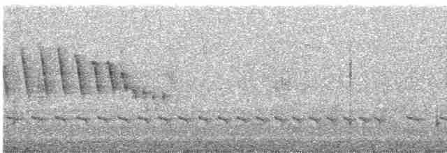 Ekvatoryal Yerçavuşu - ML610311247