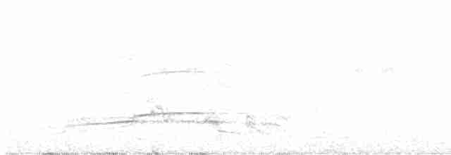 Haubenschlangenadler (minimus) - ML610311279
