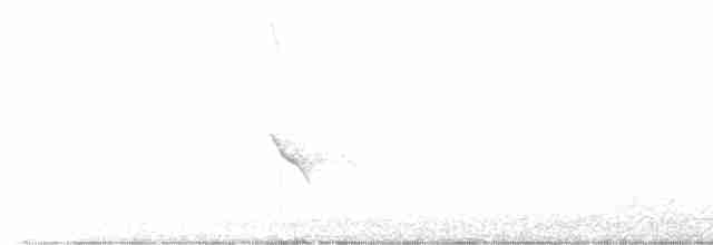 gulbrynkjernebiter - ML610325759