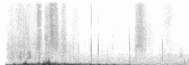 gransanger (tristis) (sibirgransanger) - ML610328688