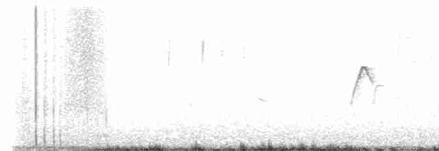 gransanger (tristis) (sibirgransanger) - ML610328689