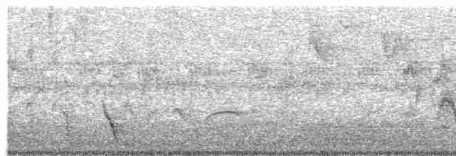 Plush-crested Jay - ML610341200