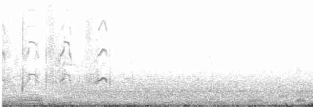 Sürmeli Kervançulluğu (hudsonicus) - ML610345704