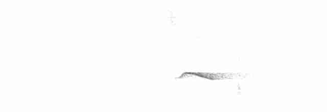Ochre-breasted Antpitta - ML610350138
