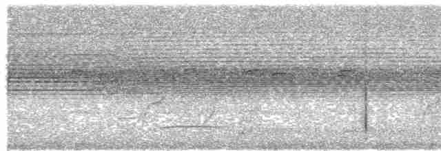 Copetón de Swainson - ML610352556