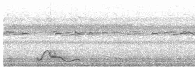 Pauraquenachtschwalbe - ML610352844