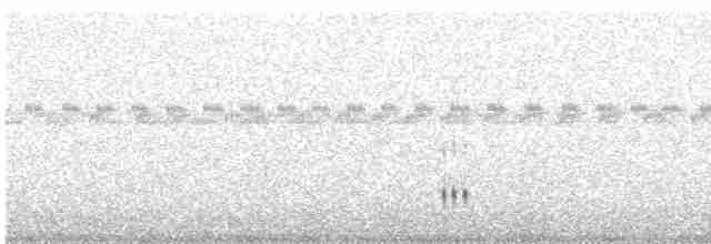 chřástalík kaštanovoprsý - ML610356537