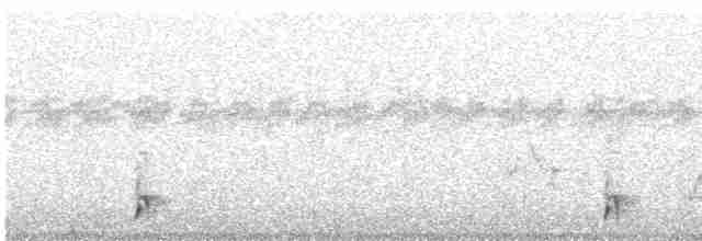chřástalík kaštanovoprsý - ML610356538