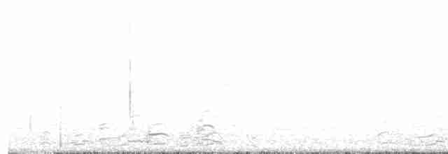 Малая канадская казарка (hutchinsii) - ML610359528