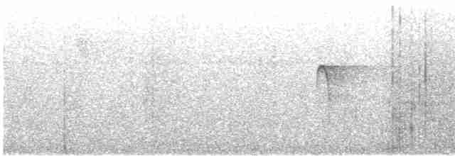 Уккрашенная курэта (phoenicurus/aureiventris) - ML610360347