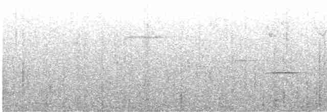Дрізд-короткодзьоб сірий [група fuscater] - ML610370121
