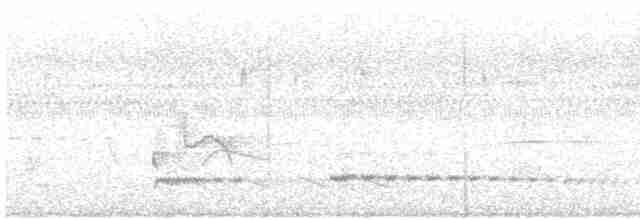 Small-billed Tinamou - ML610376415