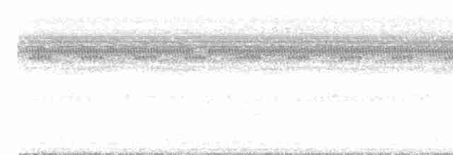 Weißschwanz-Nachtschwalbe - ML610379907