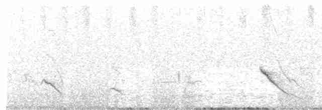 White-tailed Shrike-Tyrant - ML610382420