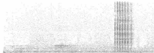 Toucan à bec noir - ML610383169