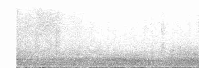 Обыкновенная чечётка (rostrata/islandica) - ML610387719