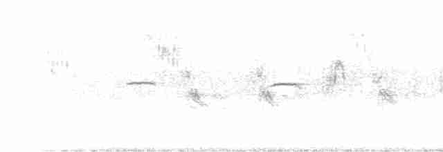 Common Chiffchaff (Siberian) - ML610388768