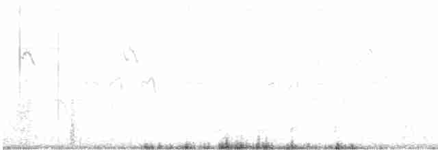 アジアヤシアマツバメ - ML610391660