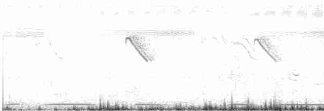 Eurasian Collared-Dove - ML610392389