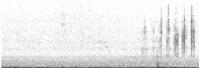 Grass Wren (Northern) - ML610394729
