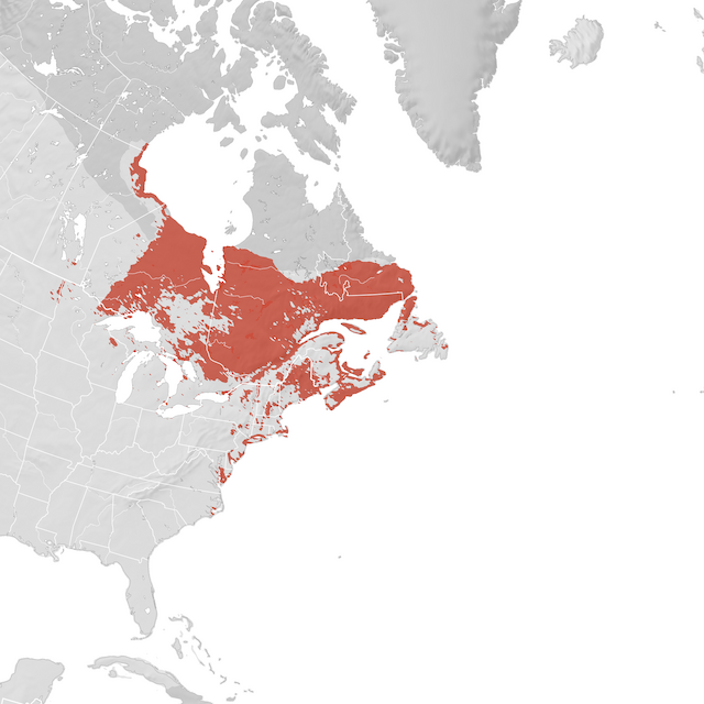 Mappa di distribuzione