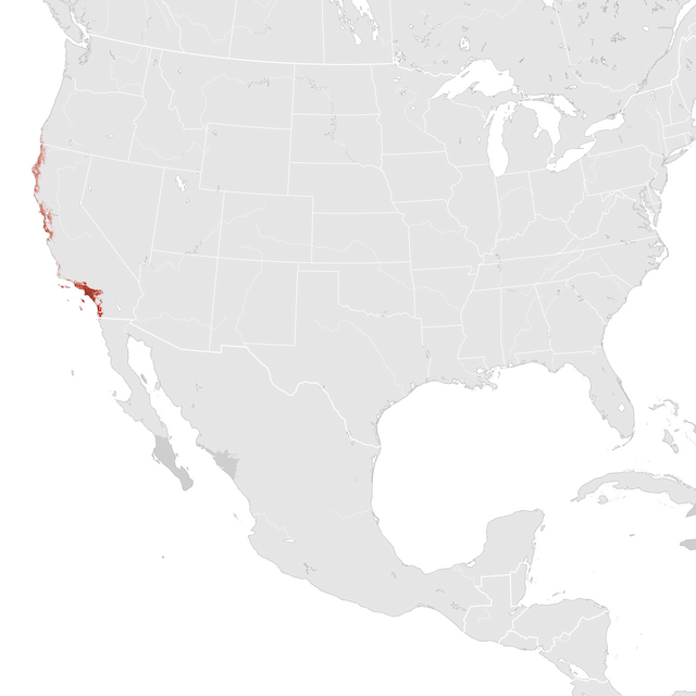 Abundance Map