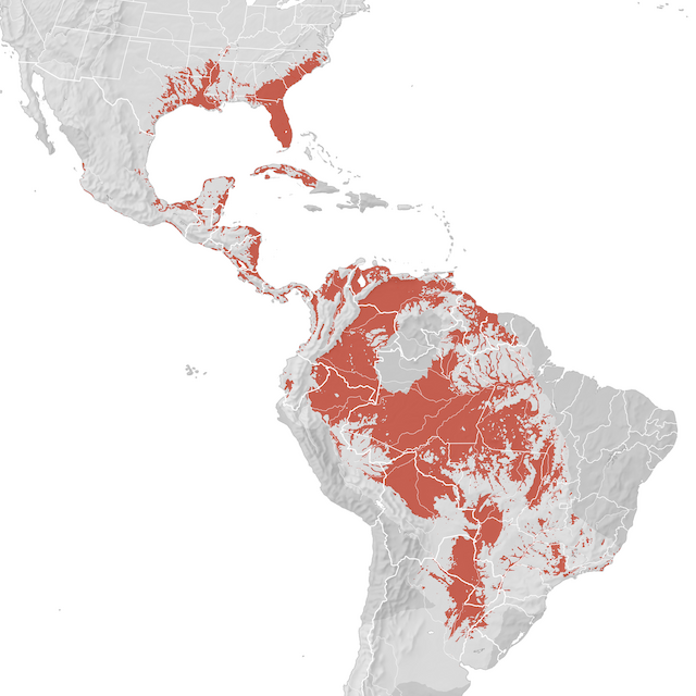 Mapa de distribuição