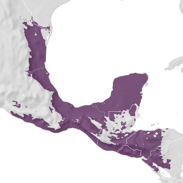 Mapa de distribuição