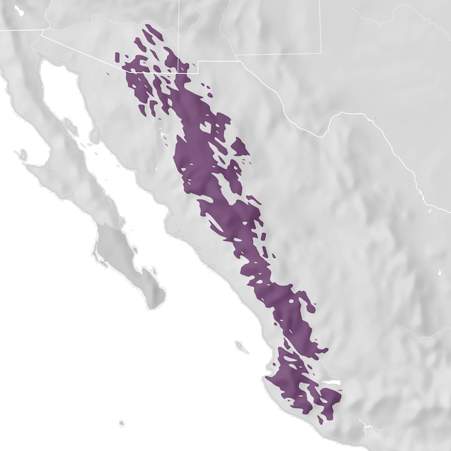 Range Map